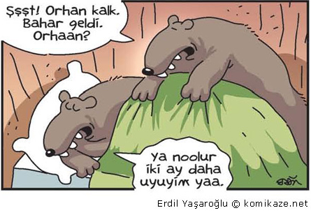 Günün bomba karikatürleri - Resim: 2