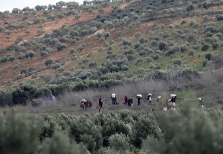 Suriyeliler ölümden böyle kaçıyor - Resim: 4