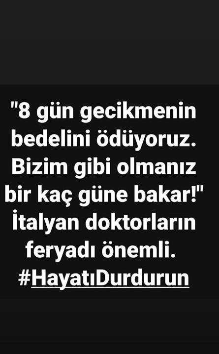 Demet Akalın Koronavirüs'e dikkat çekmek için bakın ne paylaşımı yaptı - Resim: 2