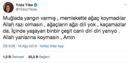 Yıldız Tilbe orman yangınlarına sessiz kalamadı! Twitter'dan isyan etti - Resim: 2