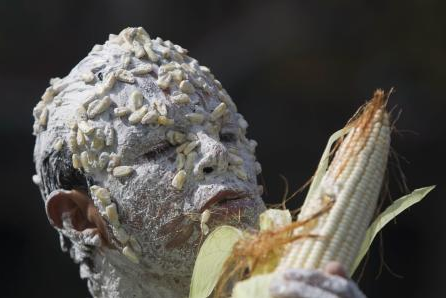 Onu görünce korktunuz mu? - Resim: 2