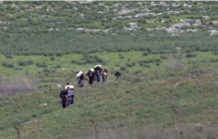 Suriyeliler ölümden böyle kaçıyor - Resim: 1