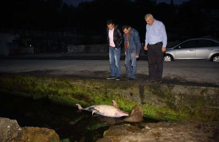 Bunu yapan insan olamaz... - Resim: 2