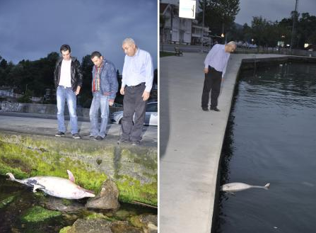 Bunu yapan insan olamaz... - Resim: 1