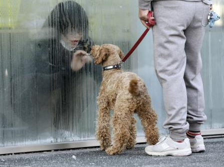 Dünyayı ağlatan kareler - Resim: 2