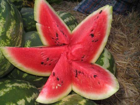 Karpuzun öyle bir faydası var ki... - Resim: 4