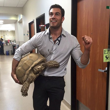 Sosyal medyanın yeni fenomeni! Yakışıklı veteriner - Resim: 1