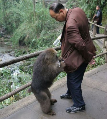 Günün en ilginç 100 karesi  - Resim: 3