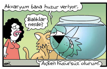 Günün en bomba karikatürleri - Resim: 3
