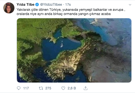 Yıldız Tilbe orman yangınlarına sessiz kalamadı! Twitter'dan isyan etti - Resim: 3