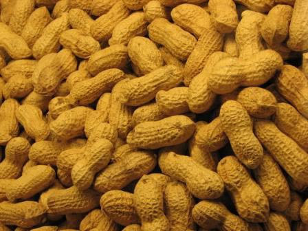 En ilginç 10 fobi - Resim: 2