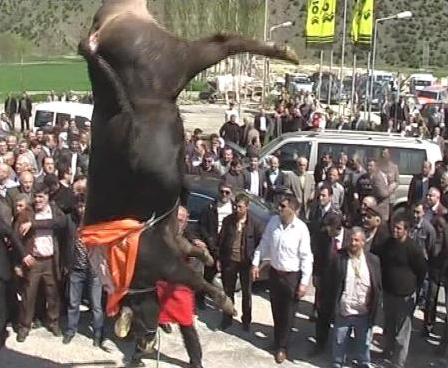 AK Partili vekili çıldırtan görüntü - Resim: 1