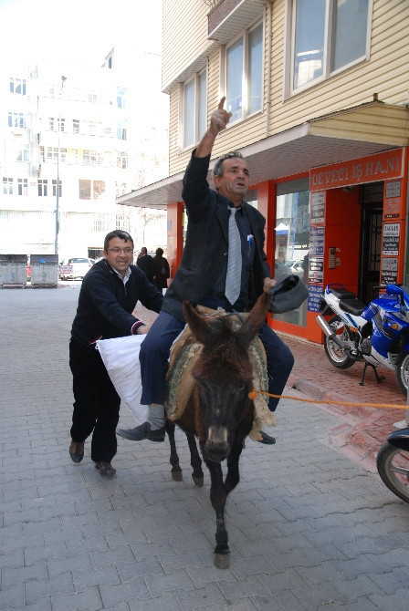 Milletvekili adayı eşek sırtında oy istedi - Resim: 4