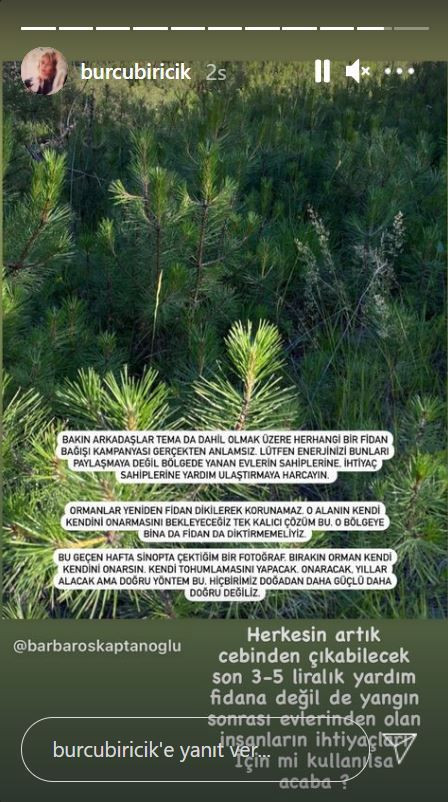 Burcu Biricik'ten sosyal medya 'TEMA'ya fidan bağışı yapmayın' paylaşımı - Resim: 3