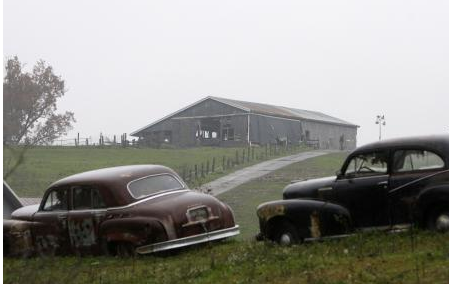 Dünya bu vahşeti konuşuyor - Resim: 4