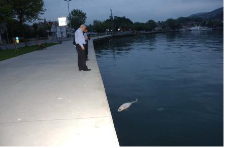 Bunu yapan insan olamaz... - Resim: 3