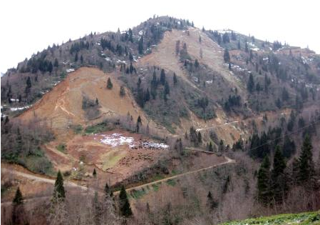 HES'ler ormanları bu hale getirdi! - Resim: 2