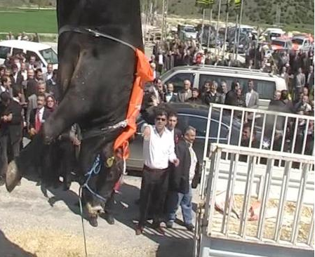 AK Partili vekili çıldırtan görüntü - Resim: 2