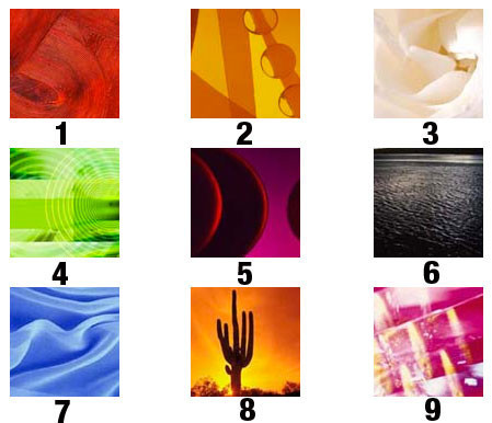 Dünya'nın en kısa kişilik testi - Resim: 1