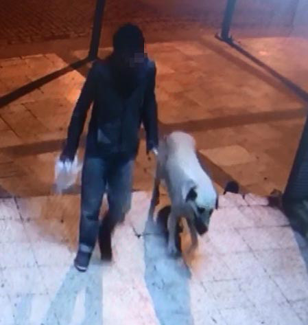 Sokak köpeğini boğarak öldürdükten sonra tecavüz etti - Resim: 2