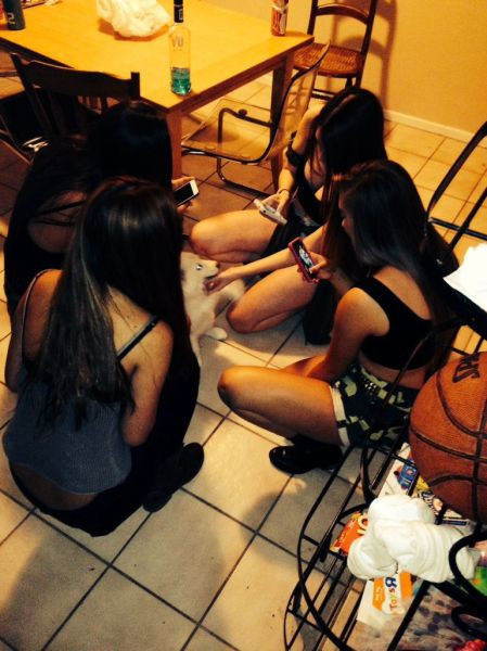 Günün neşe dolu fotoğrafları - Resim: 3