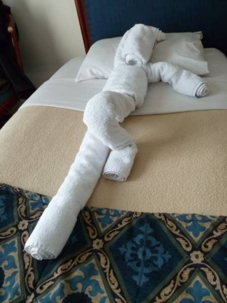 Günün en beğenilen 65 fotoğrafı! - Resim: 4