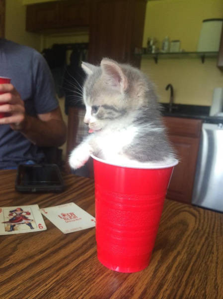 Günün en çok sevilen 50 fotoğrafı - Resim: 1