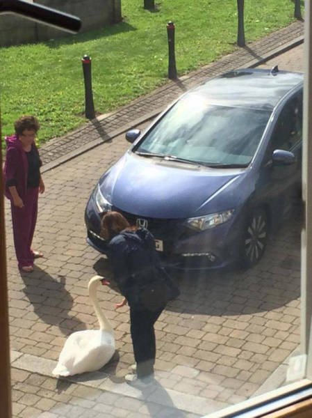 Günün en çok beğenilen fotoğrafları - Resim: 1