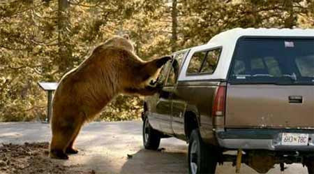 Arabanızda gerçekten güvende misiniz? - Resim: 3