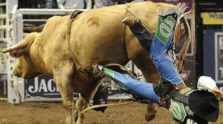 Rodeo gösterileri nefes kesti - Resim: 1