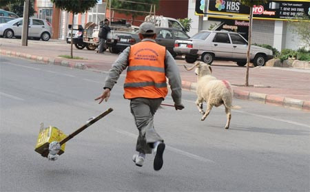 Kurban manzaraları - Resim: 1