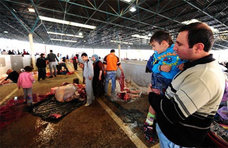 Kurban manzaraları - Resim: 4