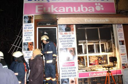 Pet shopta can pazarı! - Resim: 2