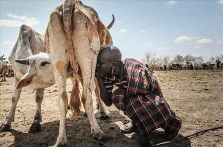 Hayatta kalması için bunu yapması şart! En ilkel kabile - Resim: 1