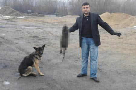 Fare değil 'su maymunu' çıktı - Resim: 1