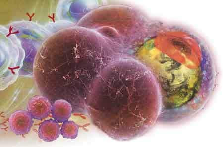 Çok şaşırtan vücut bilgileri! - Resim: 3