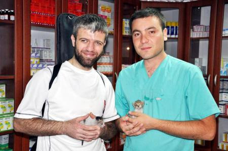 Yavru kedilerin gözlerini yapıştırdılar - Resim: 4