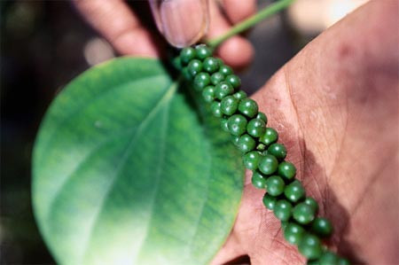 Cinsel isteği tamamen kamçılıyor - Resim: 2