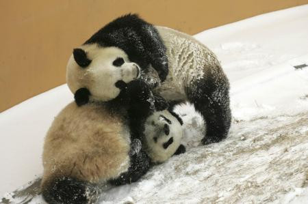 Hangisi daha şaşkın... - Resim: 4