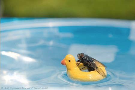 Photoshopsuz olduklarına inanmak çok zor! - Resim: 1