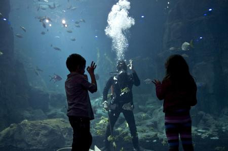 Yurdum insanı yine yaptı yapacağını - Resim: 1