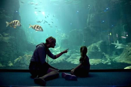 Yurdum insanı yine yaptı yapacağını - Resim: 3