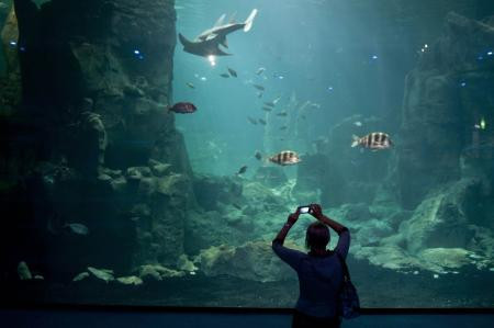 Yurdum insanı yine yaptı yapacağını - Resim: 4