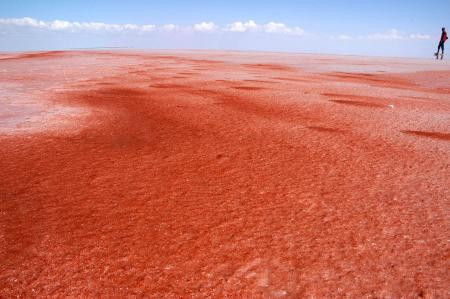 Tuz Gölü kan gölüne döndü - Resim: 4