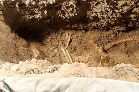 Asırlardır saklanan sır çözüldü mü? - Resim: 3