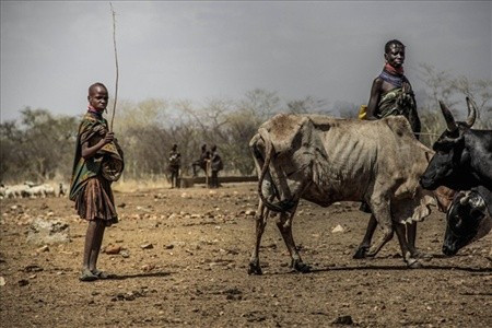 Hayatta kalması için bunu yapması şart! En ilkel kabile - Resim: 2