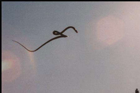 Uçan yılanların sırrı çözüldü - Resim: 2
