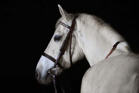 Kıyamette zararlı çıkmamak için hazır olun! - Resim: 3