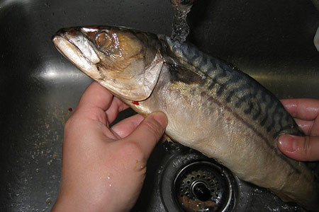 En doğal ilaç bu - Resim: 2