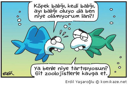 Biraz da kahkaha atmaya ne dersiniz? - Resim: 3